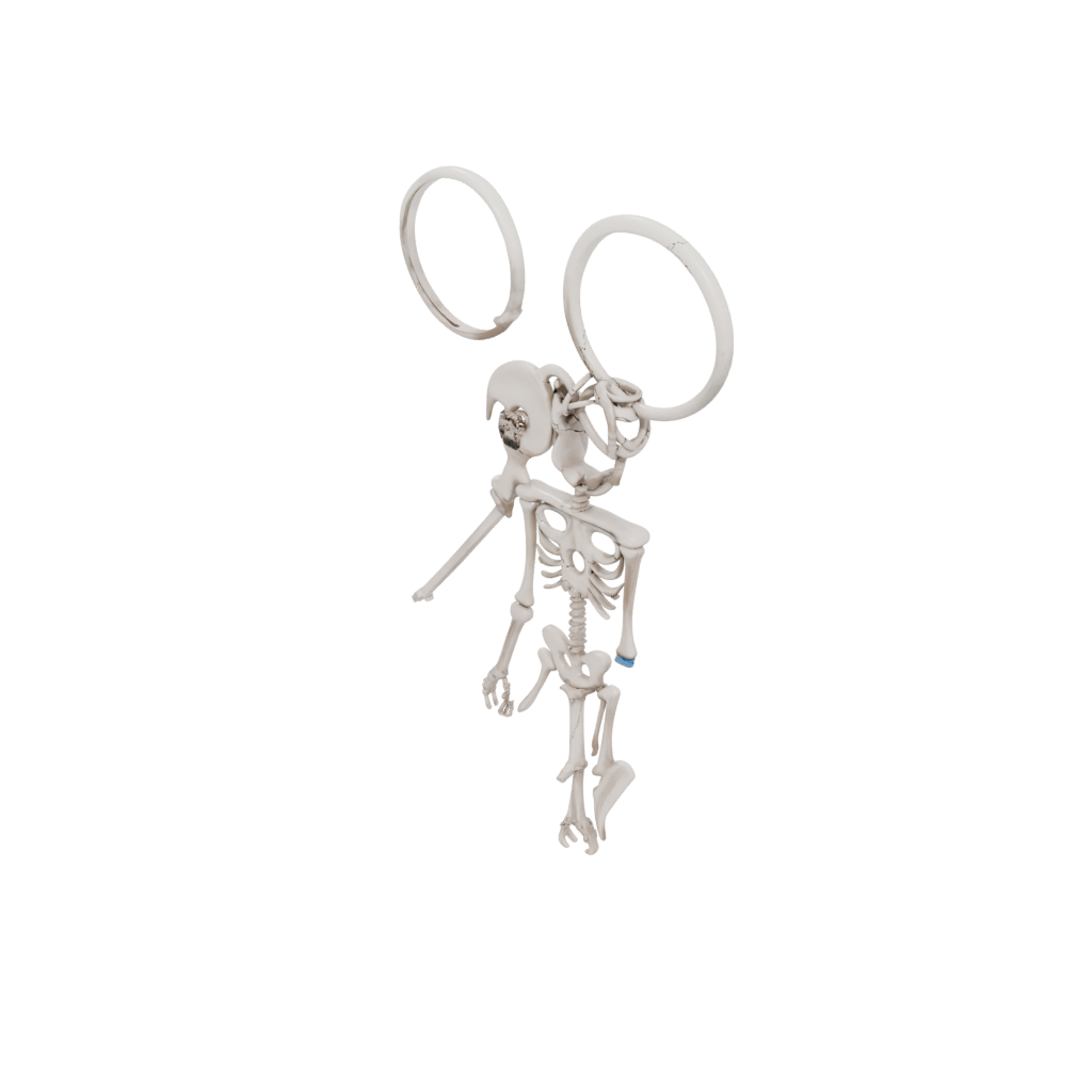 Jumbo Outline Key Skeleton Charm