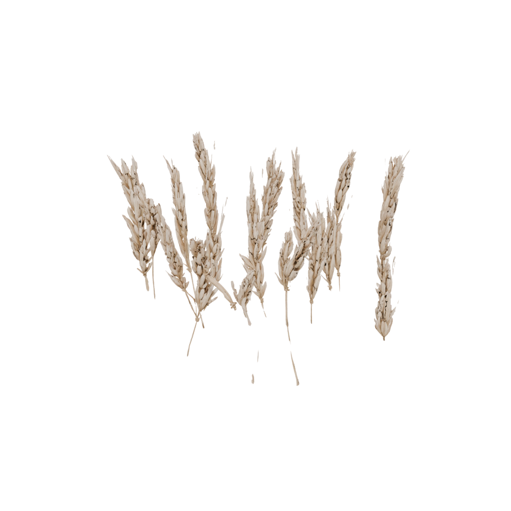 Harvest Wheat Sheaf — seasonal 3D print model, STL