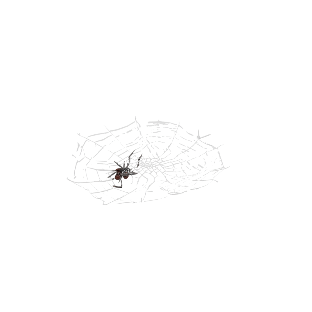 Spider Web Wall Hanging — seasonal 3D print model, STL