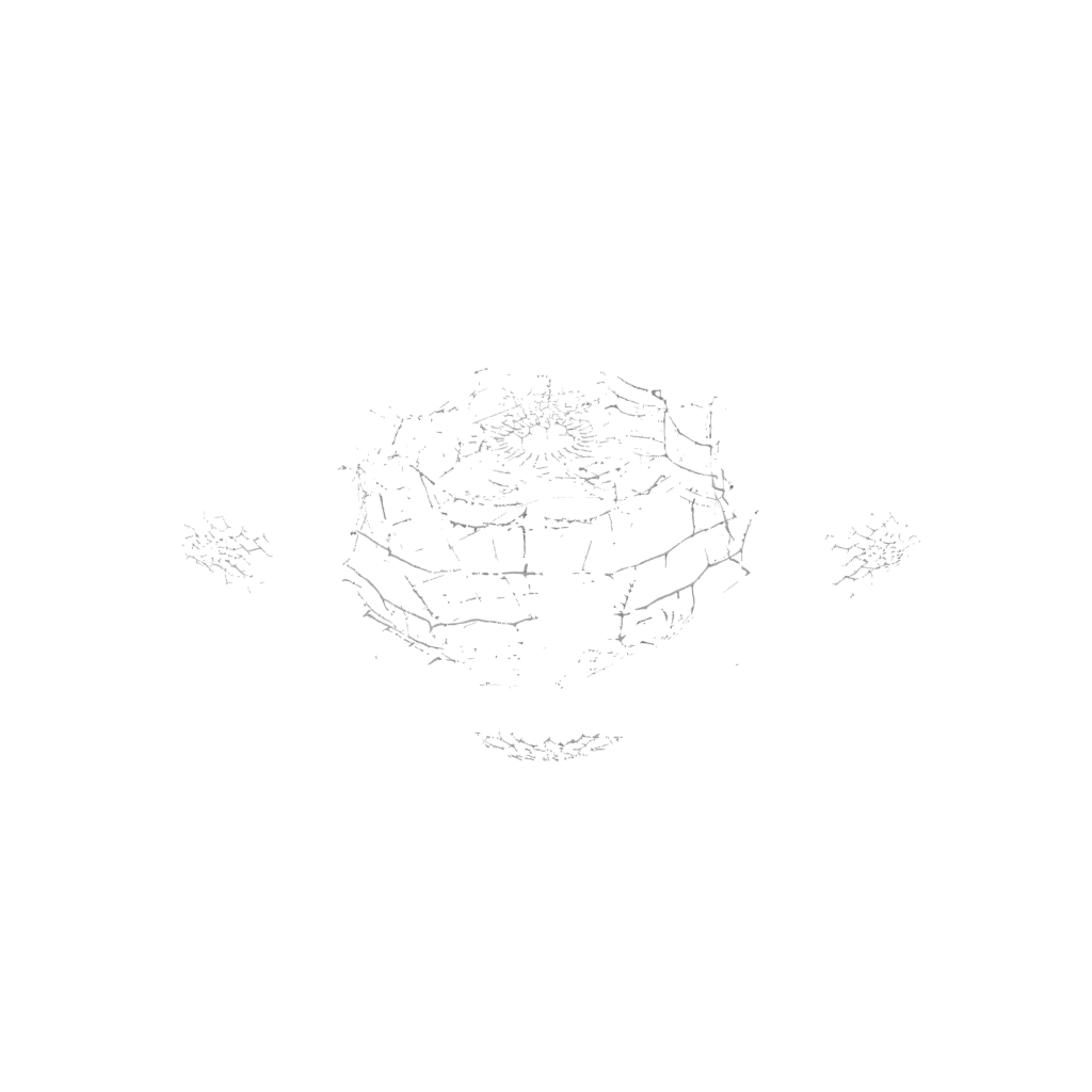 Galaxy Spider Web Wall Hanging — seasonal 3D print model, STL