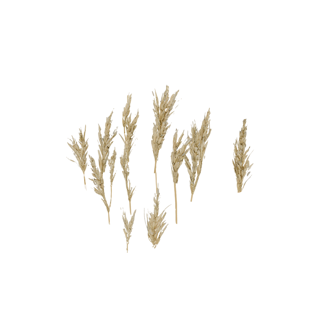 Galaxy Ornate Harvest Wheat Sheaf — seasonal 3D print model, STL