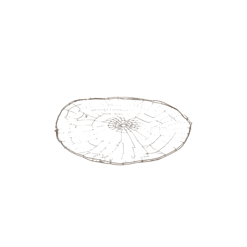 Galaxy Rustic Spider Web Wall Hanging — seasonal 3D print model, STL