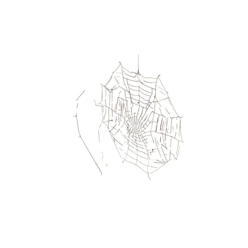 Glow Spider Web Wall Hanging — seasonal 3D print model, STL
