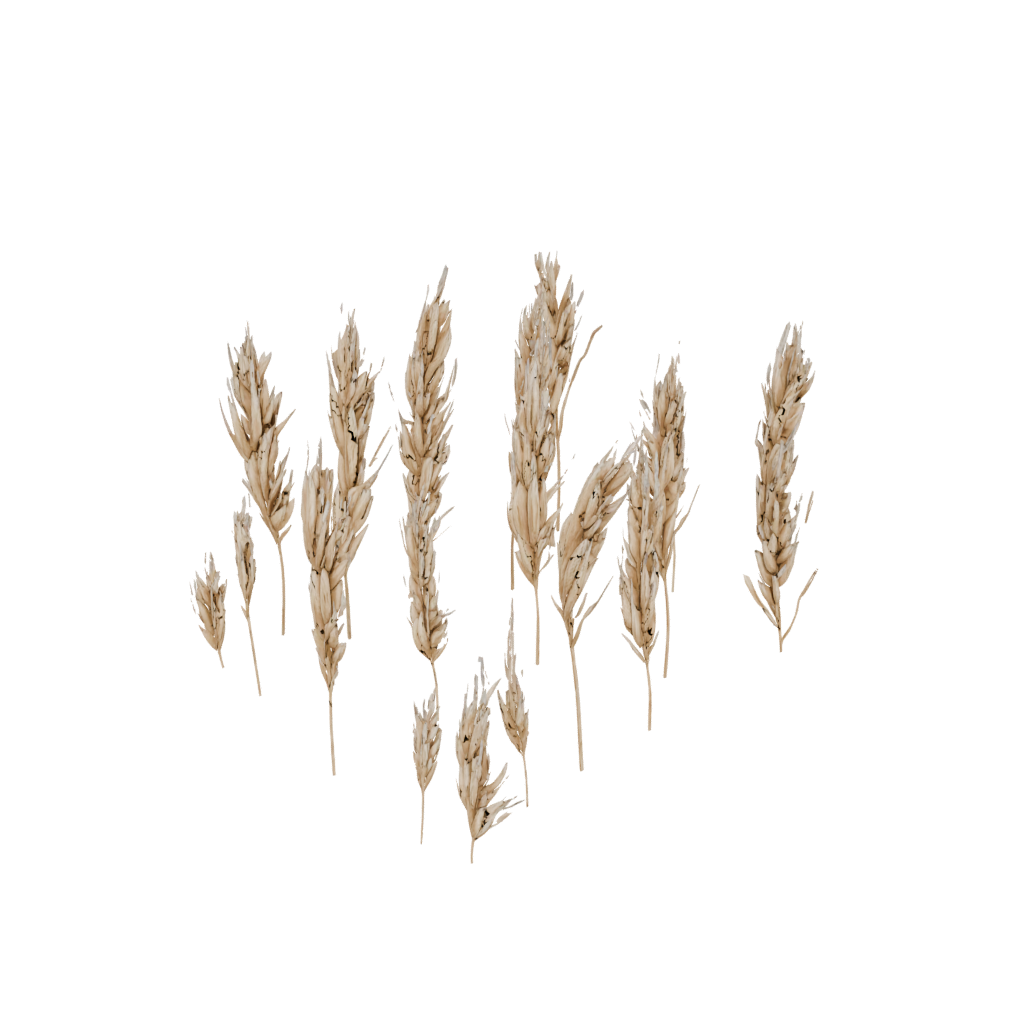 Gold Cute Harvest Wheat Sheaf — seasonal 3D print model, STL