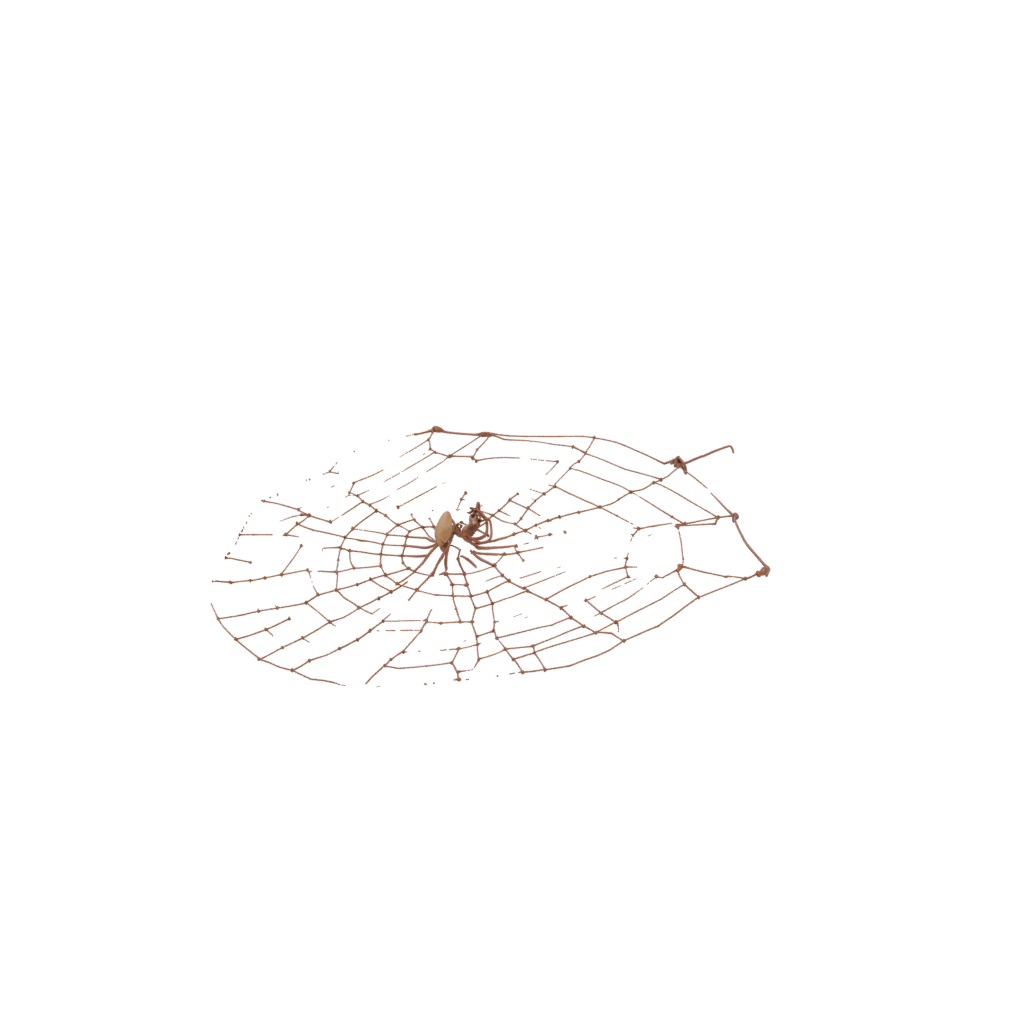 Gold Modern Spider Web Wall Hanging — seasonal 3D print model, STL