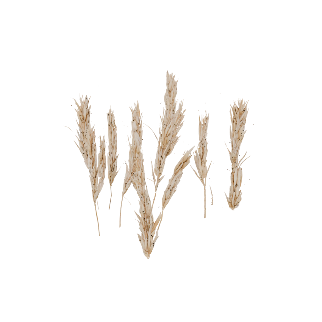 Holiday Rustic Harvest Wheat Sheaf — seasonal 3D print model, STL
