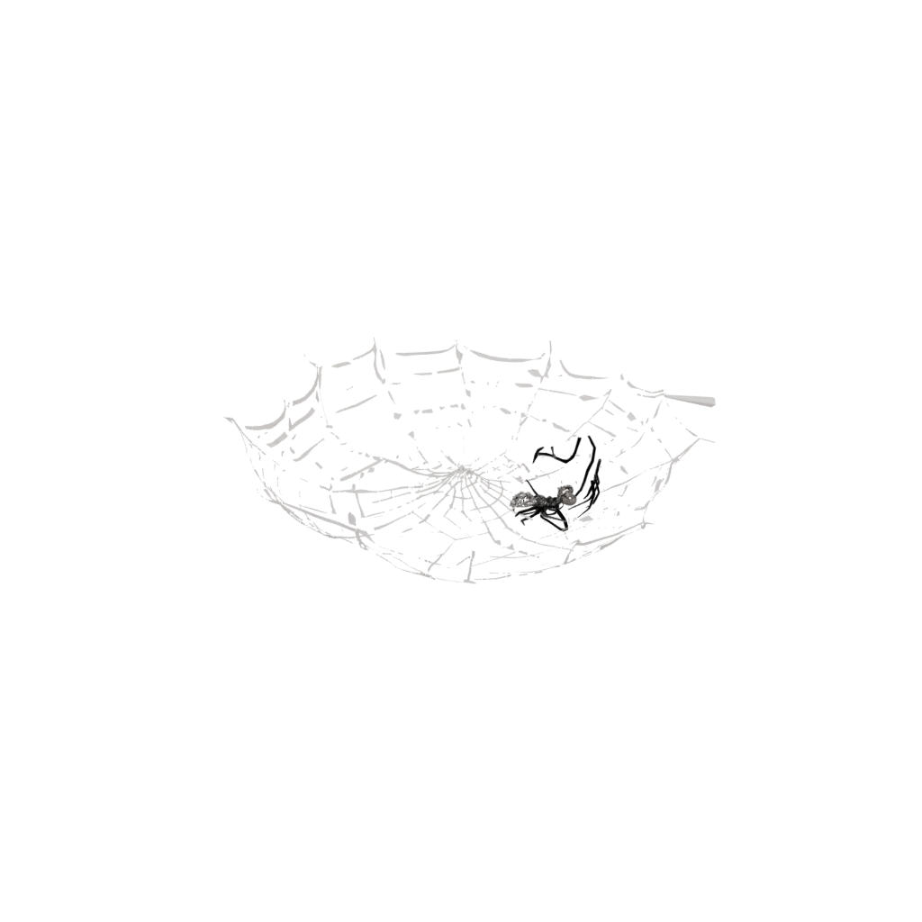 Jumbo Spider Web Wall Hanging — seasonal 3D print model, STL