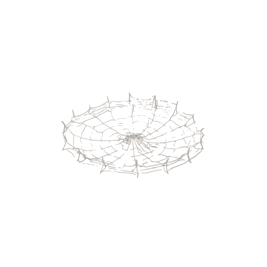 Jumbo Rustic Spider Web Wall Hanging — seasonal 3D print model, STL