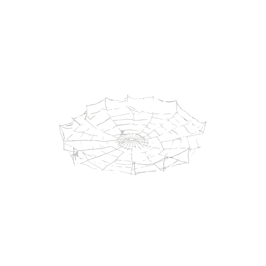 Low-Poly Rustic Spider Web Wall Hanging — seasonal 3D print model, STL