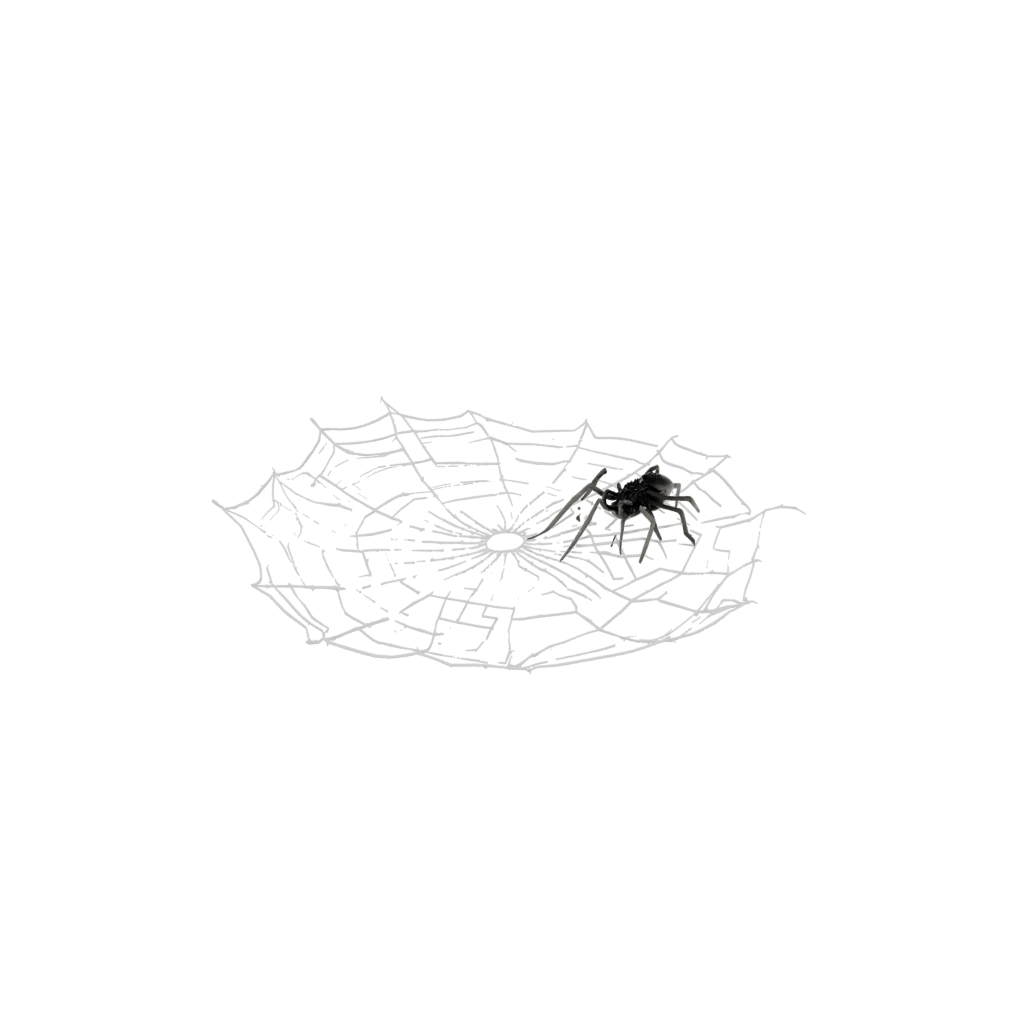 Marble Ornate Spider Web Wall Hanging — seasonal 3D print model, STL