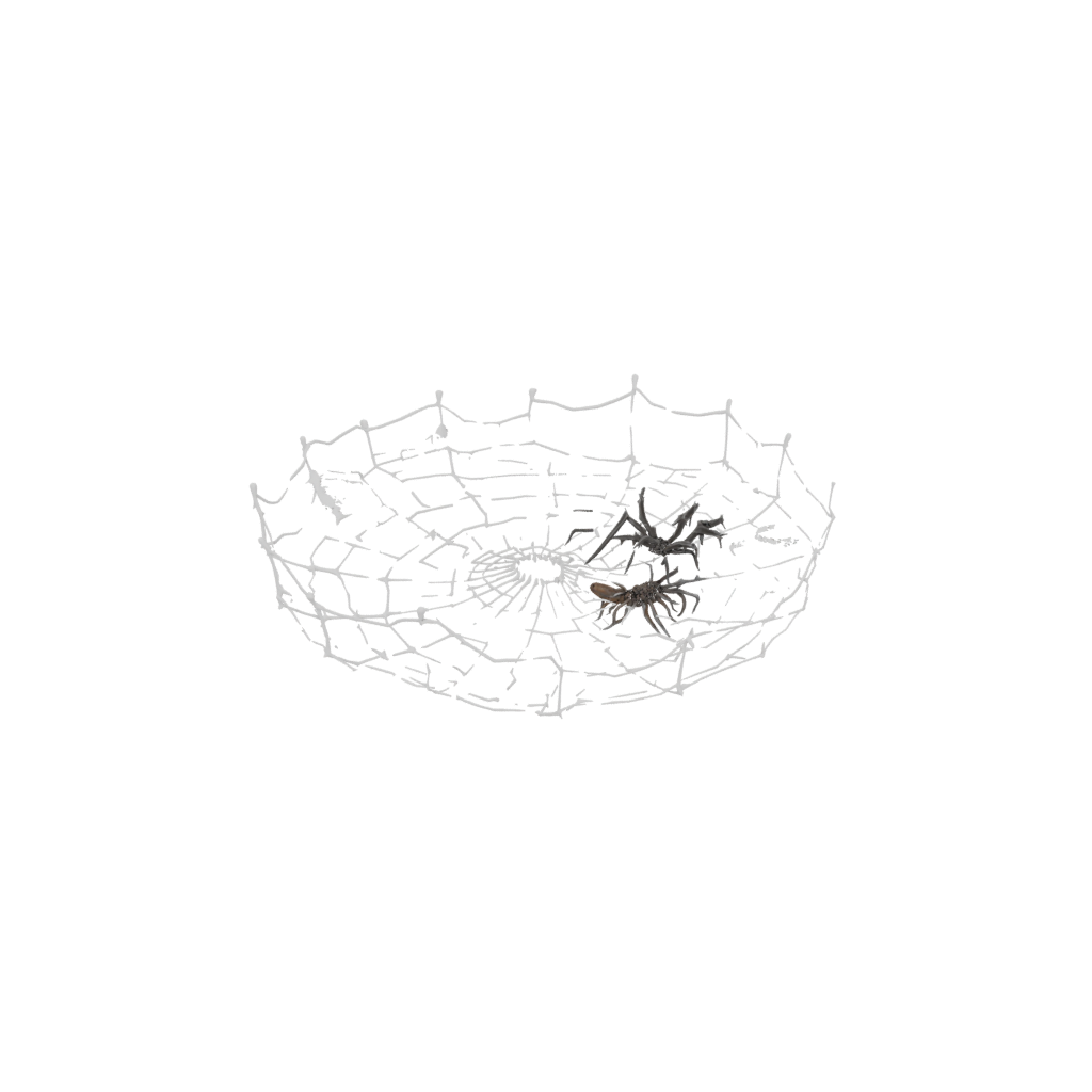 Marble Rustic Spider Web Wall Hanging — seasonal 3D print model, STL