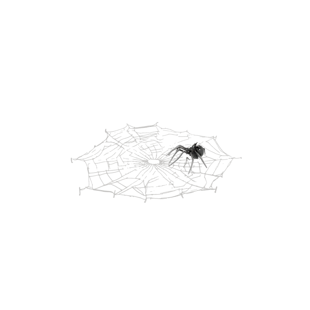 Mini Ornate Spider Web Wall Hanging — seasonal 3D print model, STL