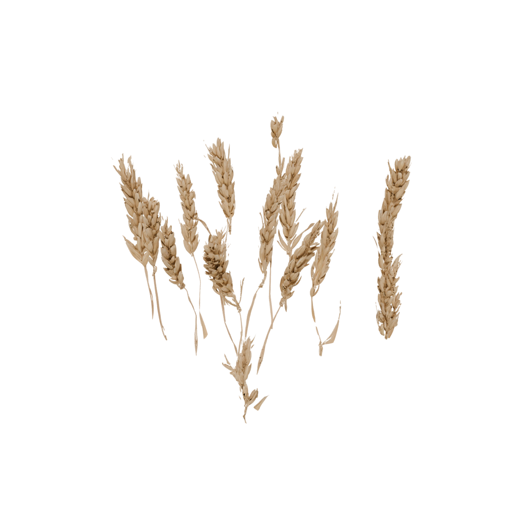 Neon Rustic Harvest Wheat Sheaf — seasonal 3D print model, STL