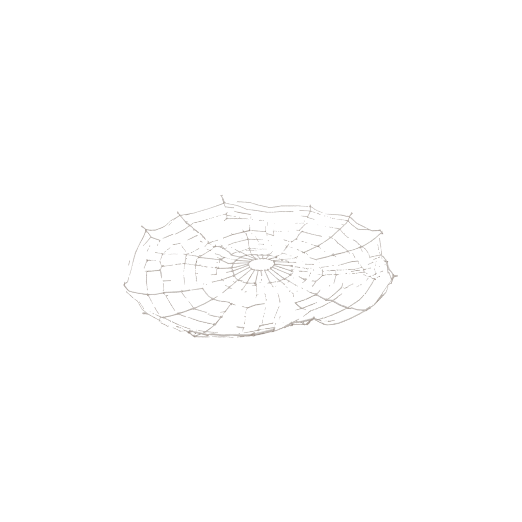 Neon Rustic Spider Web Wall Hanging — seasonal 3D print model, STL