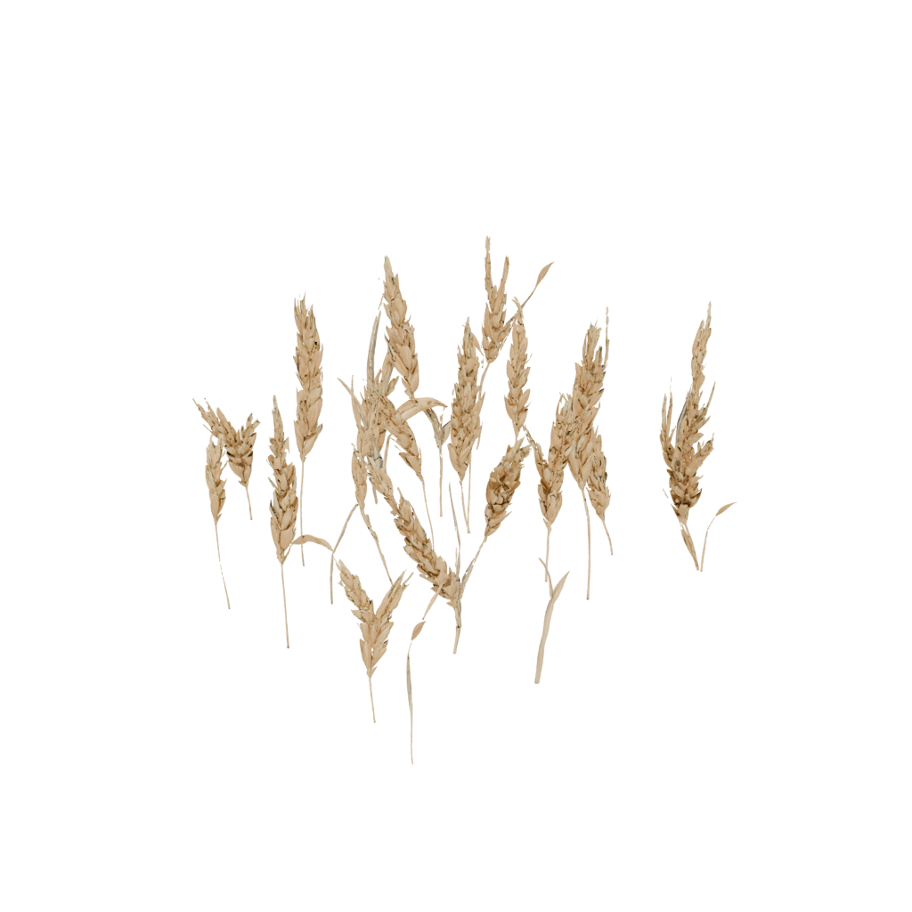 Pastel Cute Harvest Wheat Sheaf — seasonal 3D print model, STL