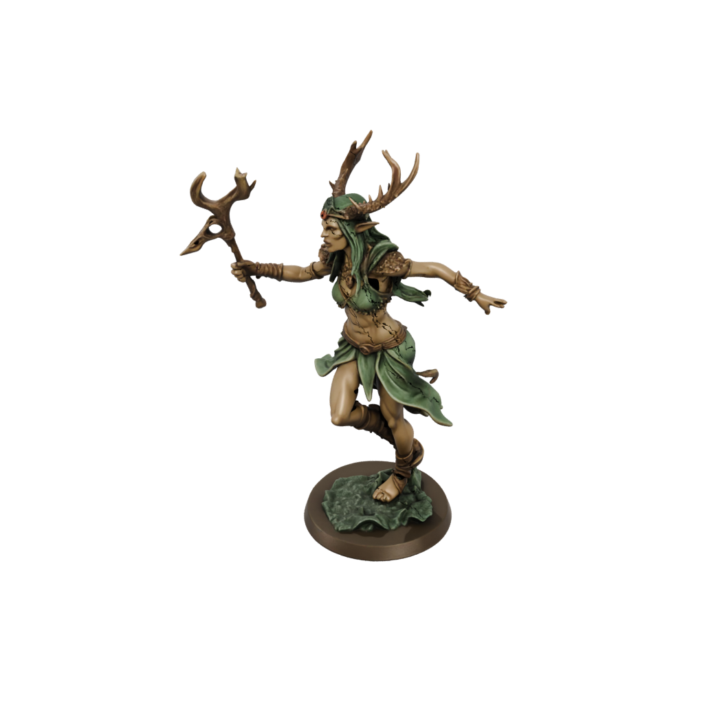 Bronze Wood-Elf Druid