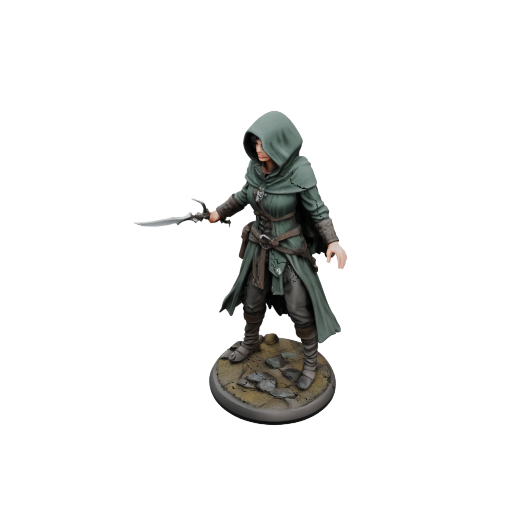 Hooded Rogue With Daggers