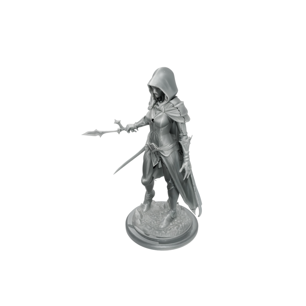 Crystal Hooded Rogue With Daggers — tabletop minis 3D print model, STL