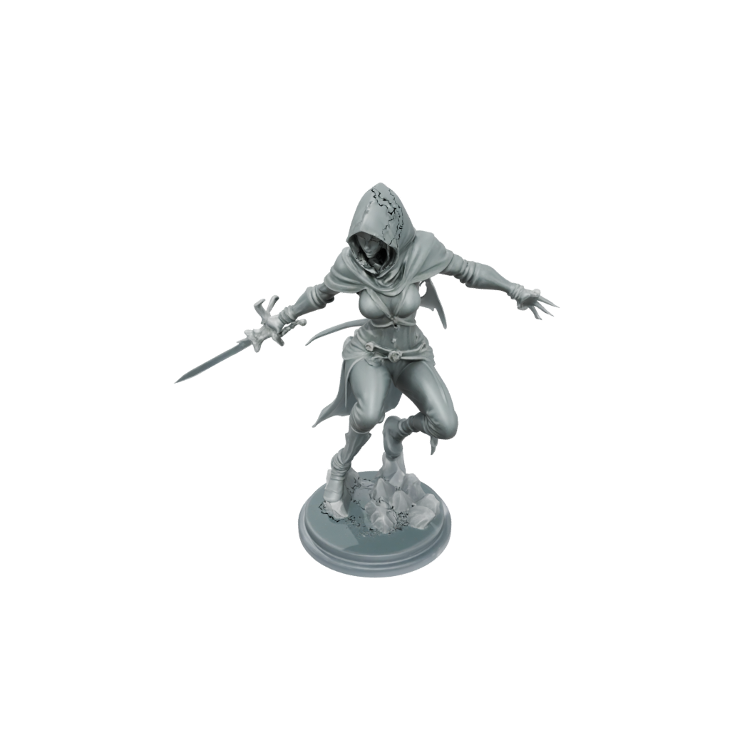 Crystal Hooded Rogue With Daggers — tabletop minis 3D print model, STL