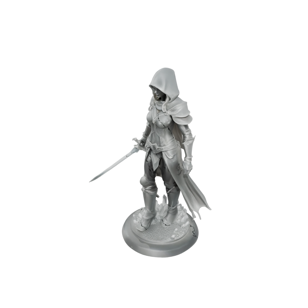 Crystal Hooded Rogue With Daggers