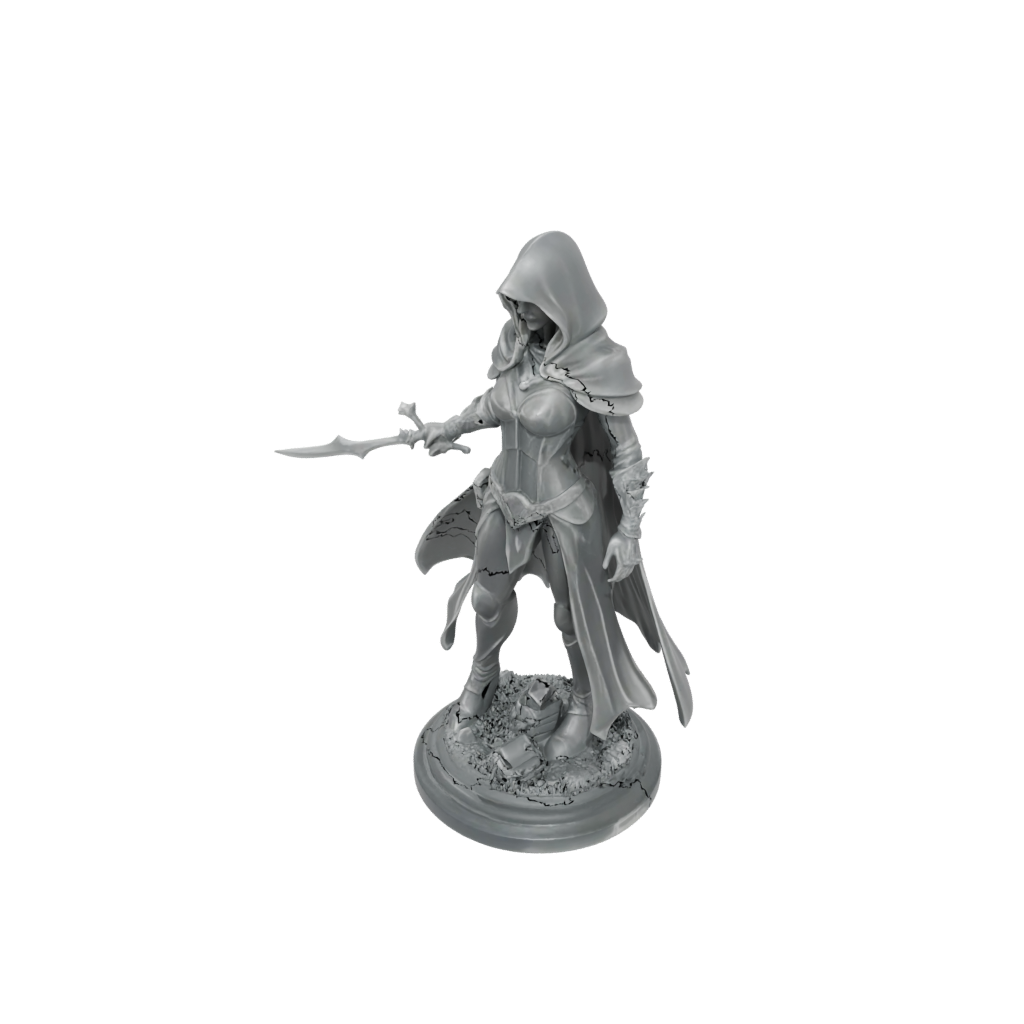 Crystal Hooded Rogue With Daggers — tabletop minis 3D print model, STL