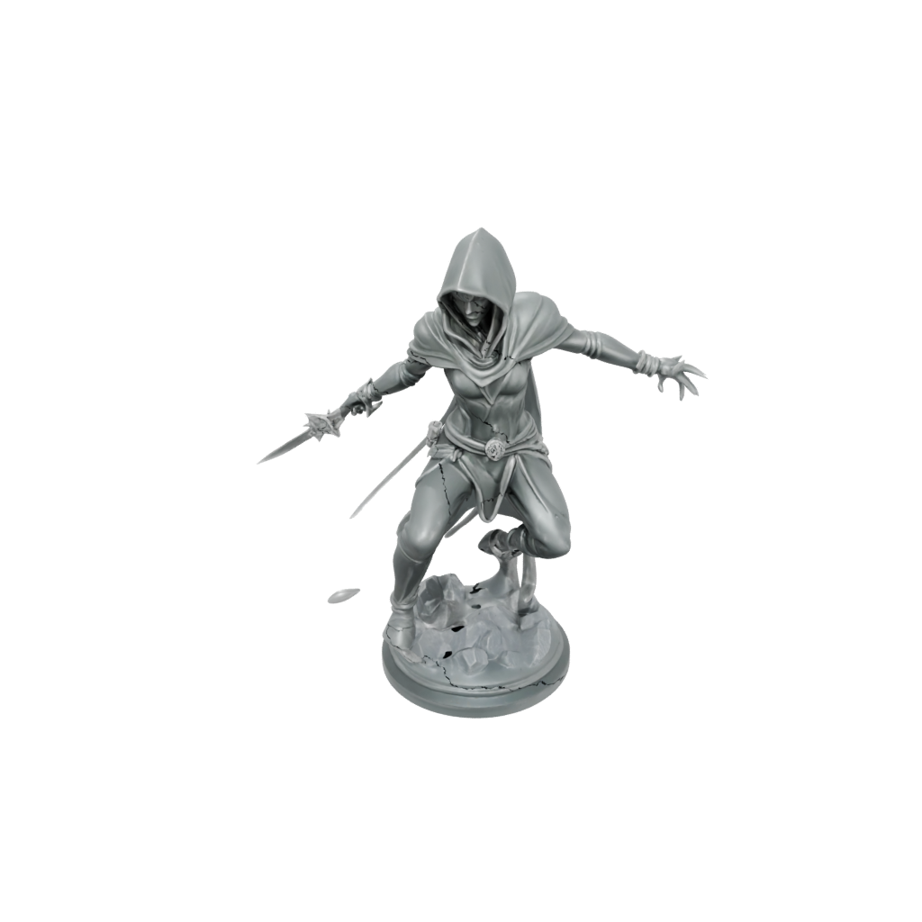 Crystal Hooded Rogue With Daggers — tabletop minis 3D print model, STL
