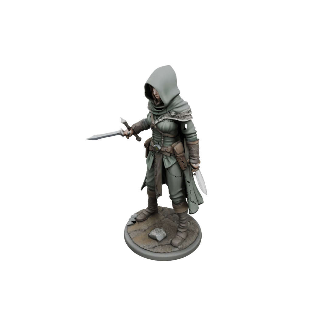 Hooded Rogue With Daggers