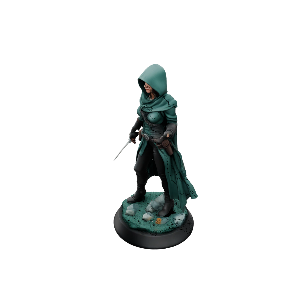 Galaxy Hooded Rogue With Daggers