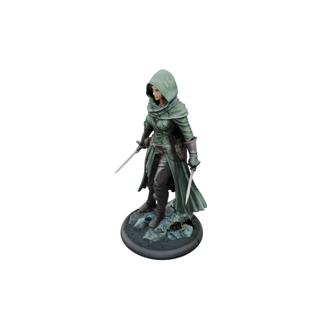 Galaxy Hooded Rogue With Daggers