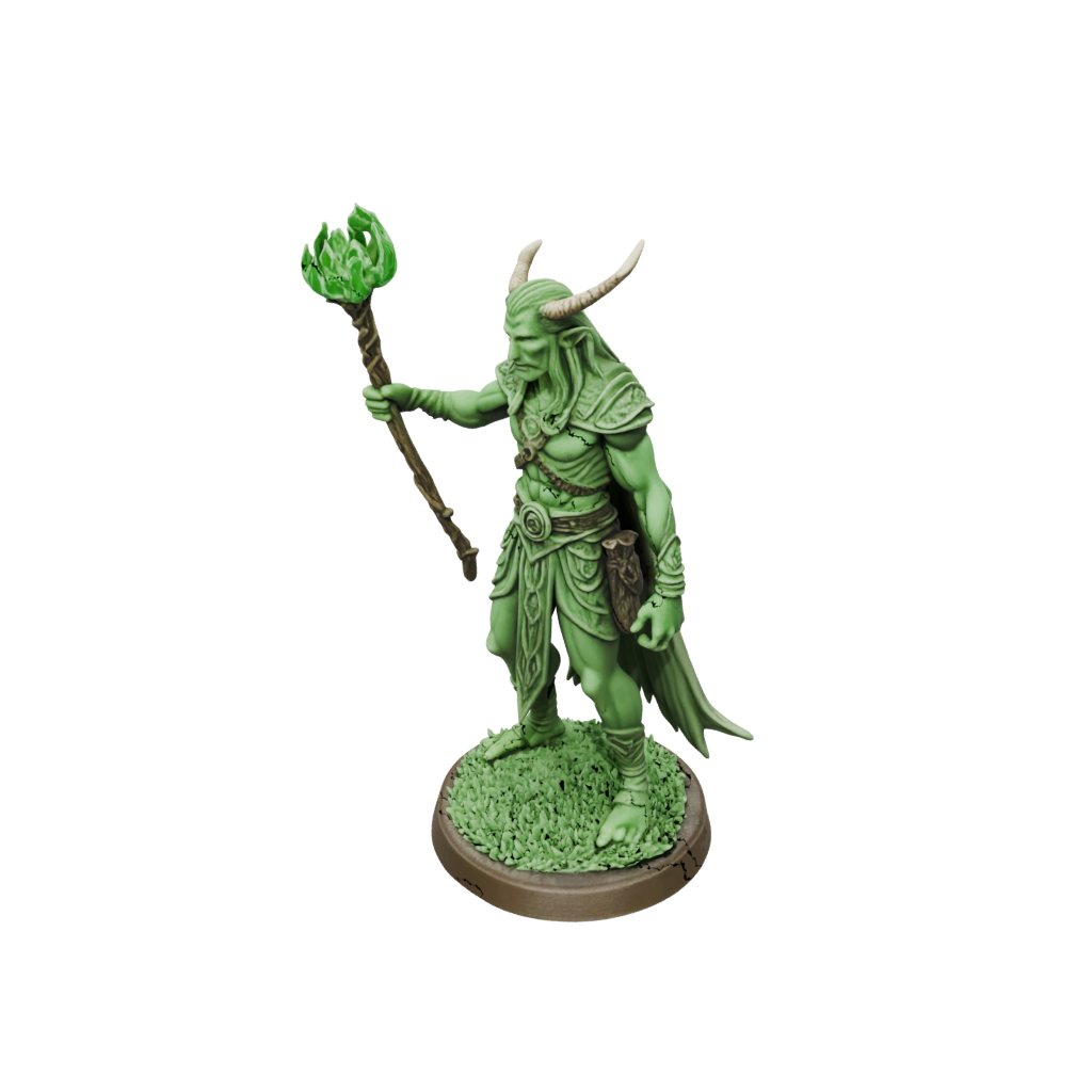 Glow Wood-Elf Druid
