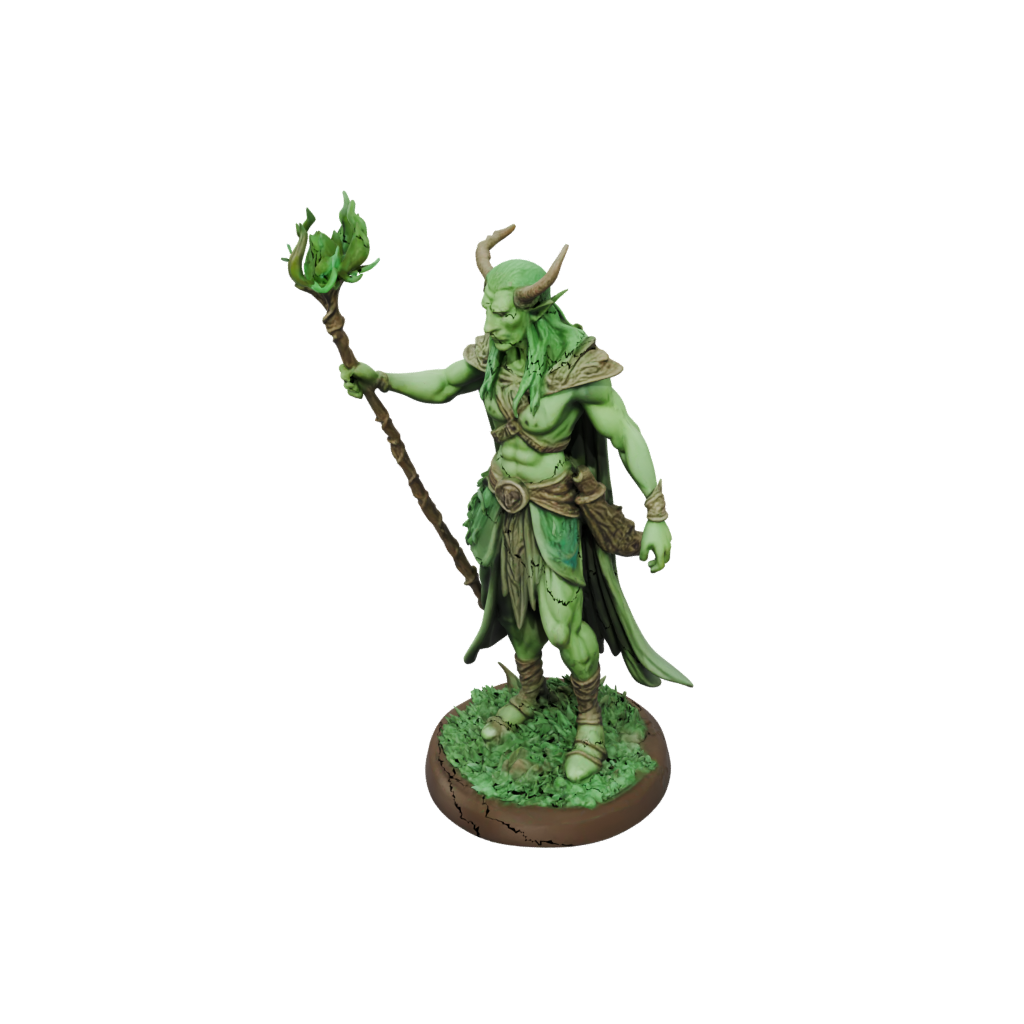 Glow Wood-Elf Druid
