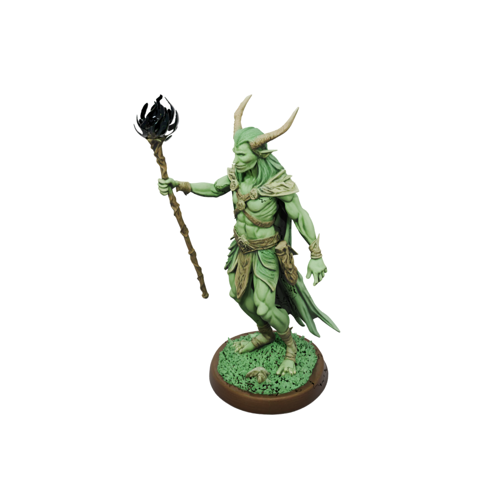 Glow Wood-Elf Druid
