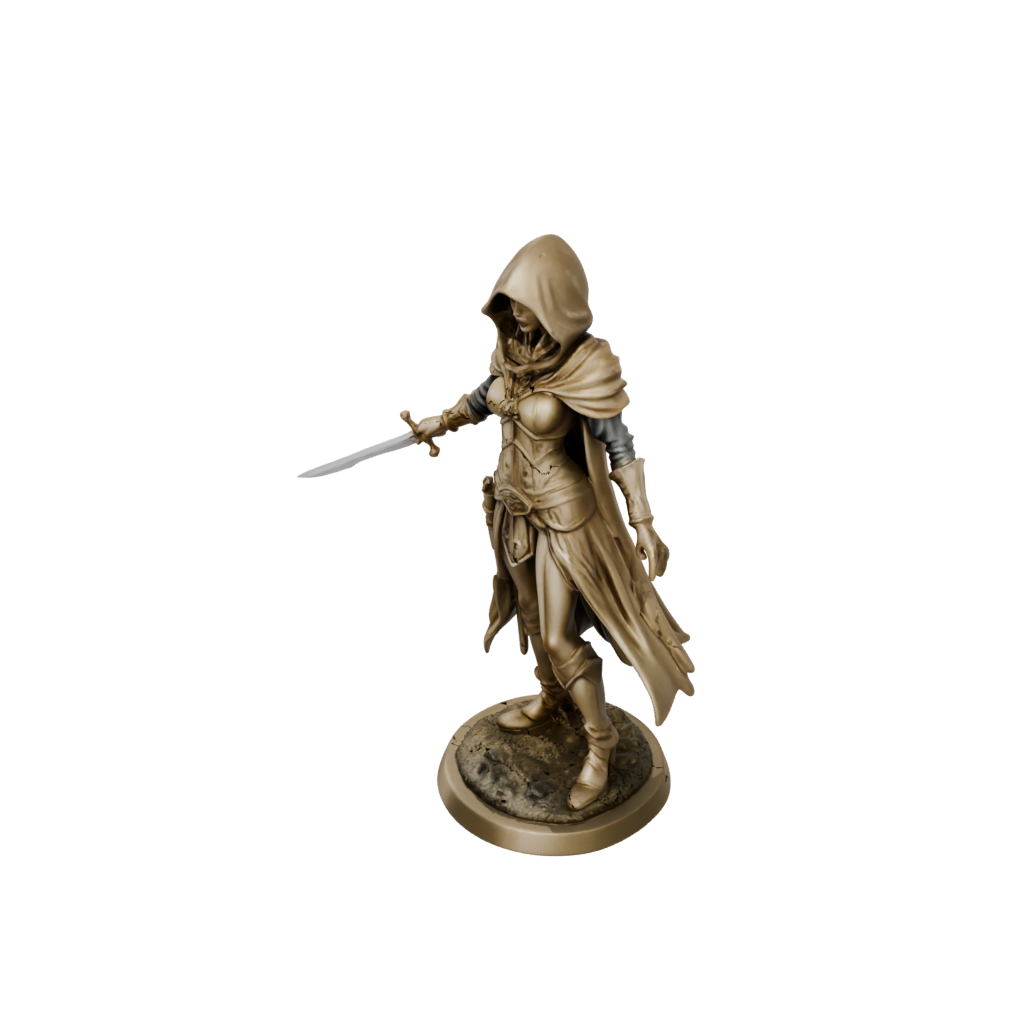 Gold Hooded Rogue With Daggers