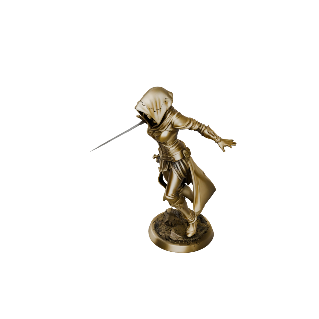 Gold Hooded Rogue With Daggers