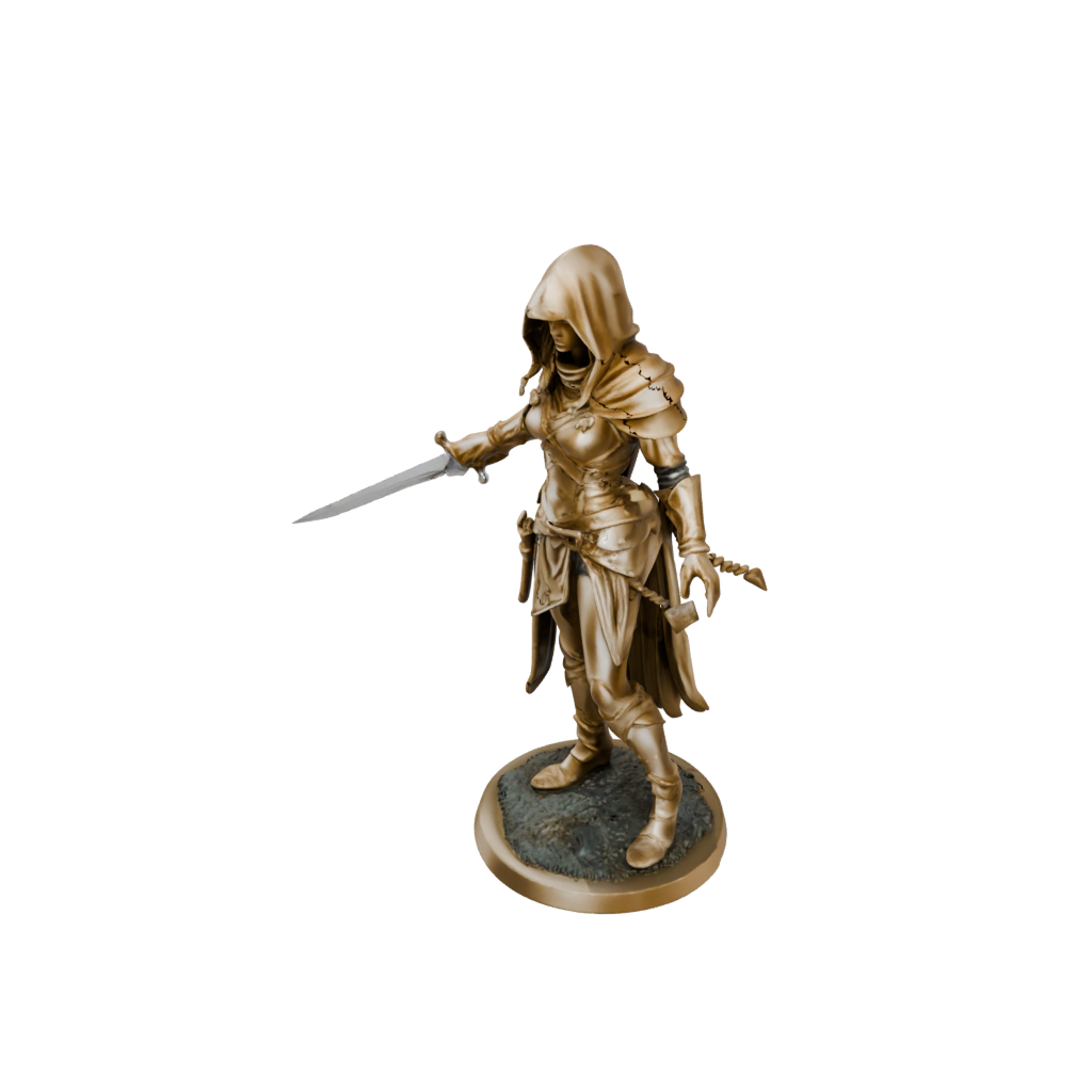 Gold Hooded Rogue With Daggers