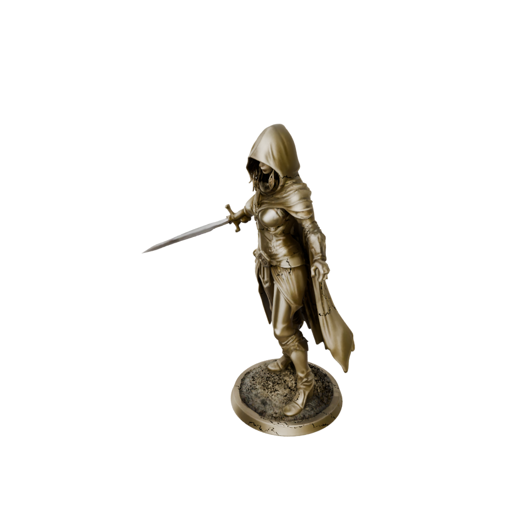 Gold Hooded Rogue With Daggers