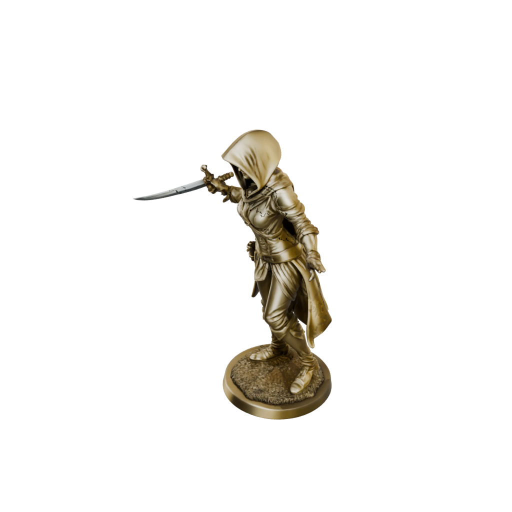 Gold Hooded Rogue With Daggers