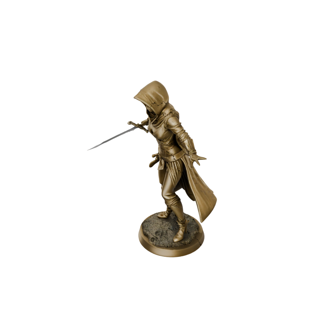 Gold Hooded Rogue With Daggers