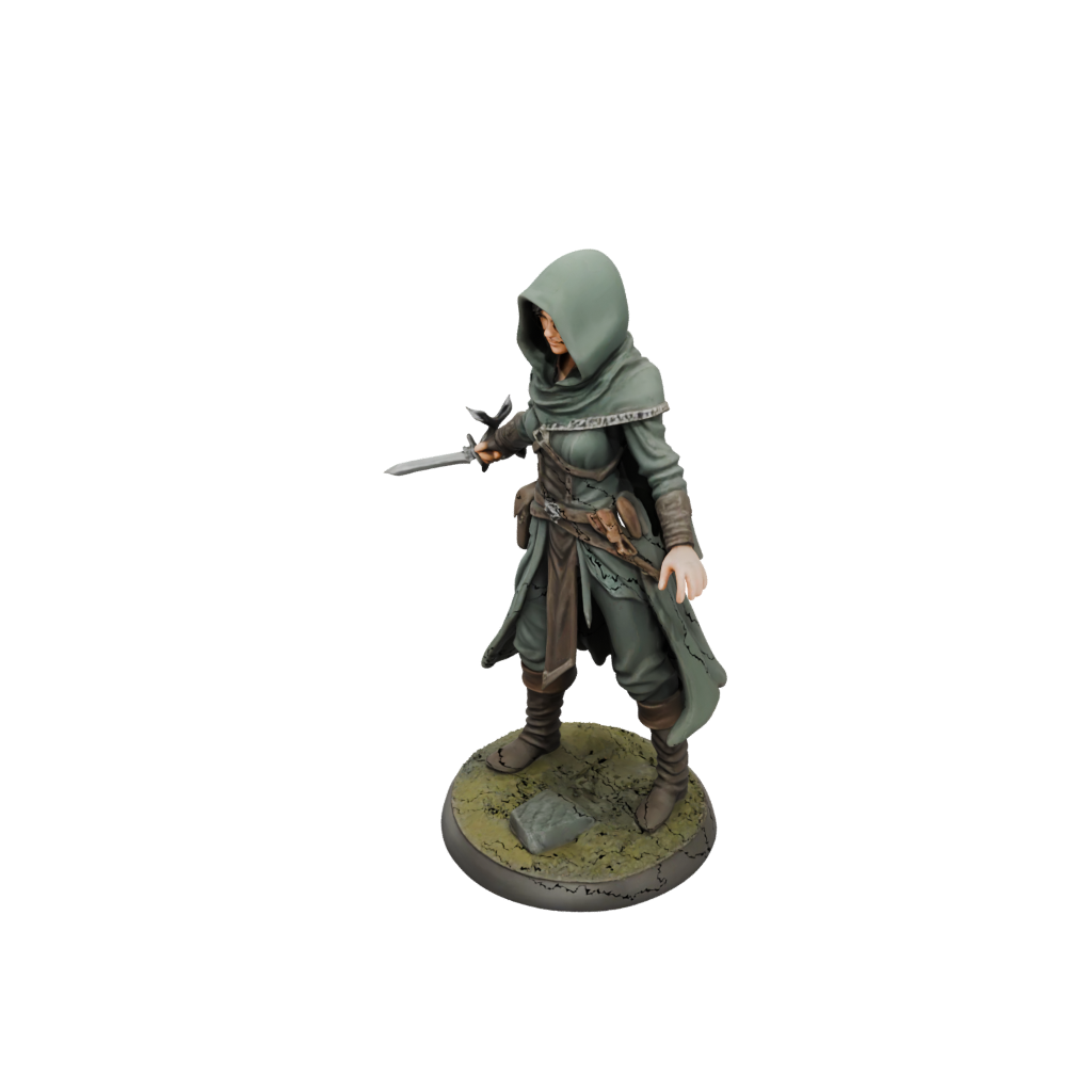 Hooded Rogue With Daggers