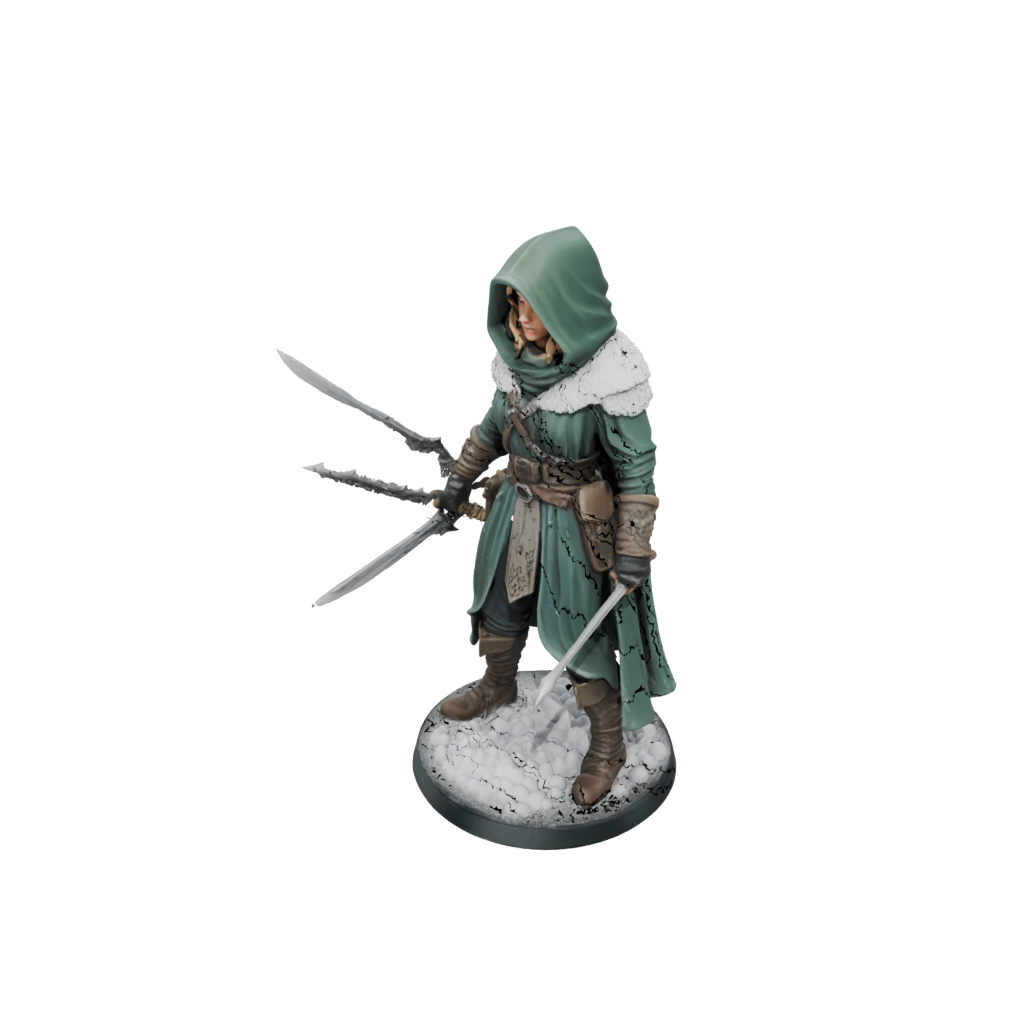 Holiday Hooded Rogue With Daggers