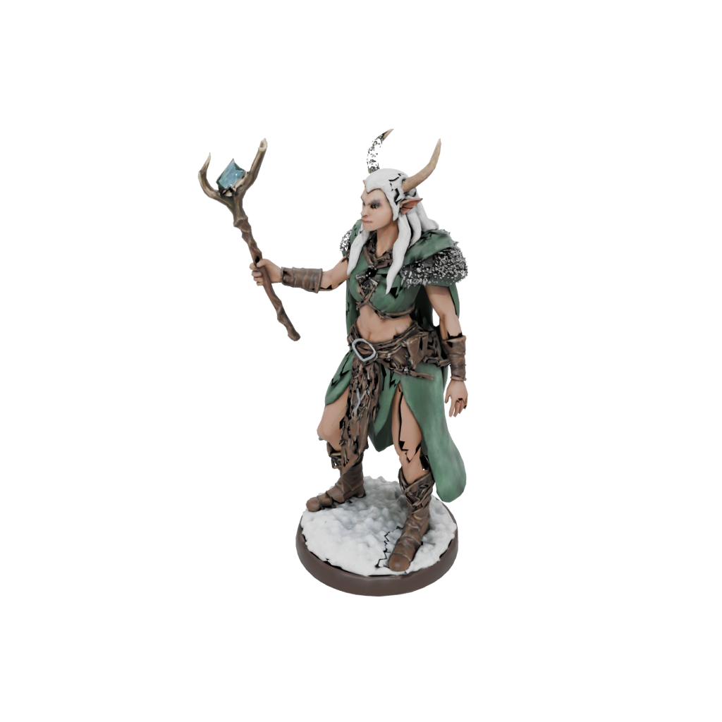 Holiday Wood-Elf Druid