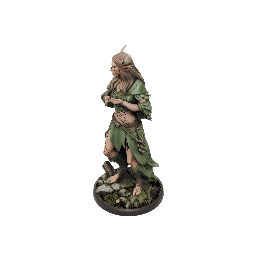 Wood-Elf Druid