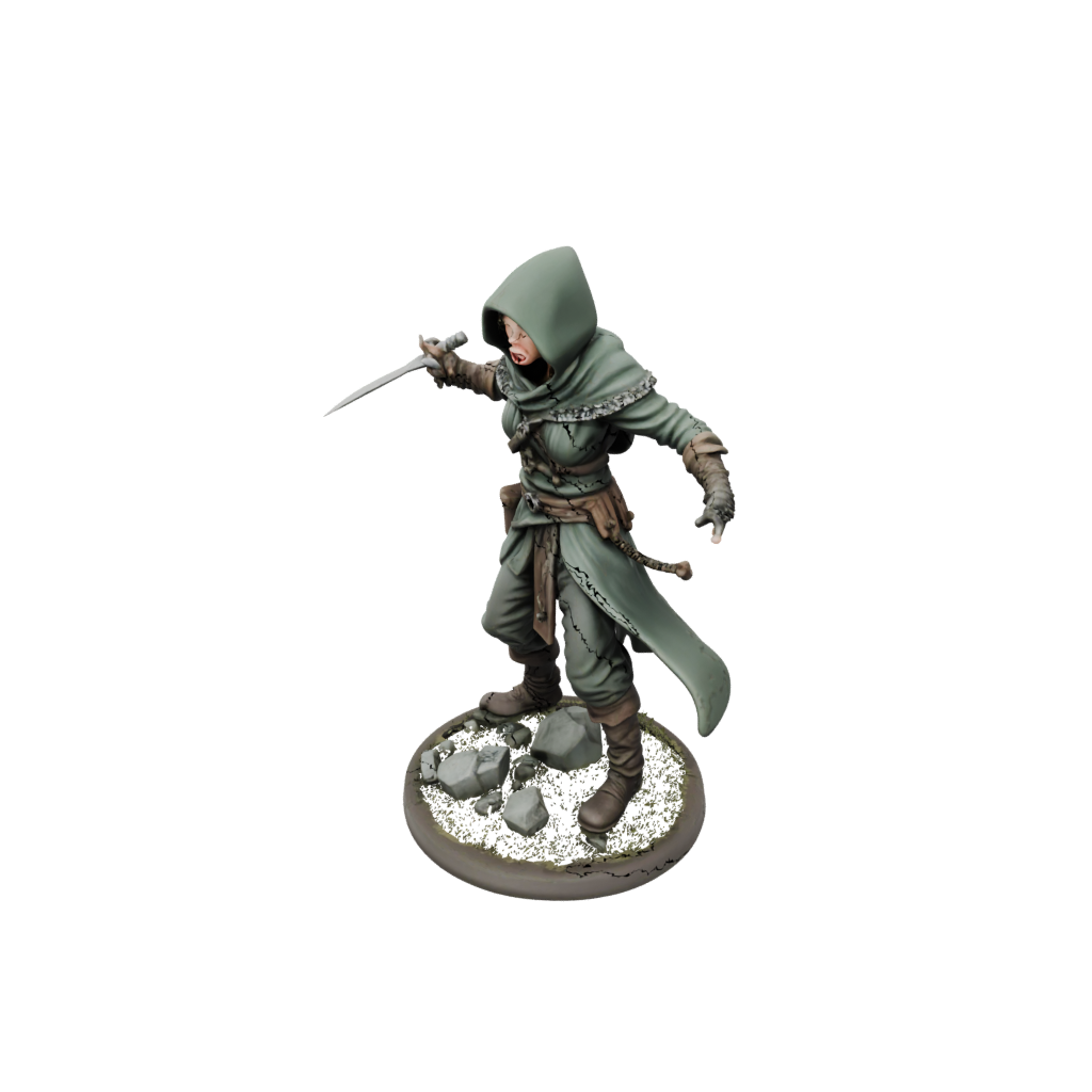 Hooded Rogue With Daggers