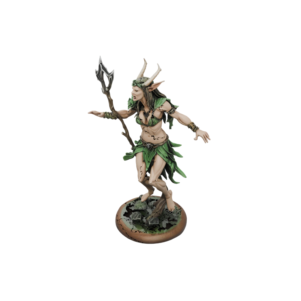 Wood-Elf Druid