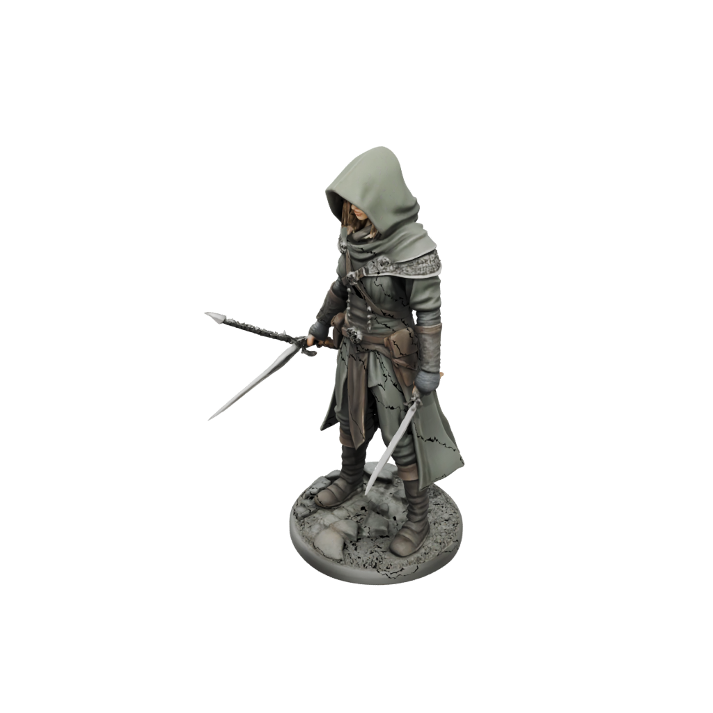Hooded Rogue With Daggers
