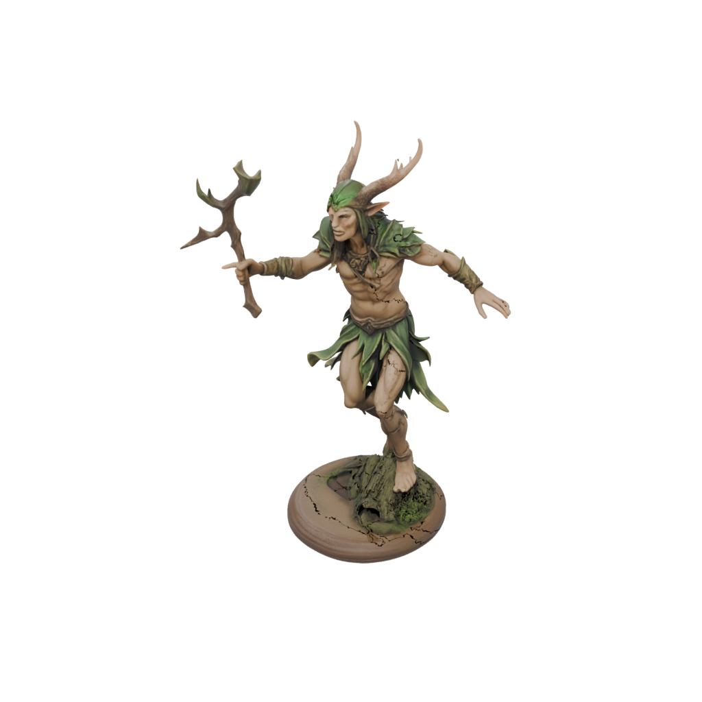 Woodgrain Wood-Elf Druid